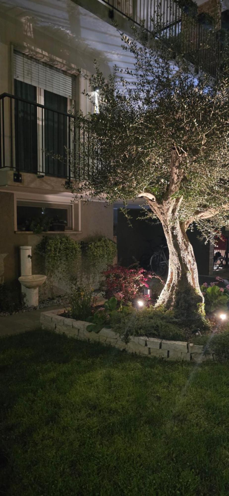 Vila Ca' Olivo Mogliano Veneto Exteriér fotografie